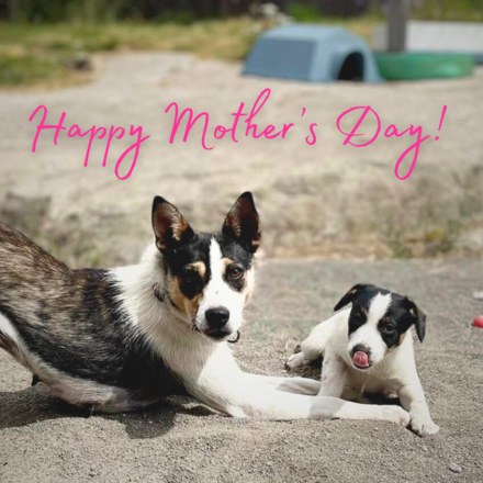 Happy Mother's Day eCards