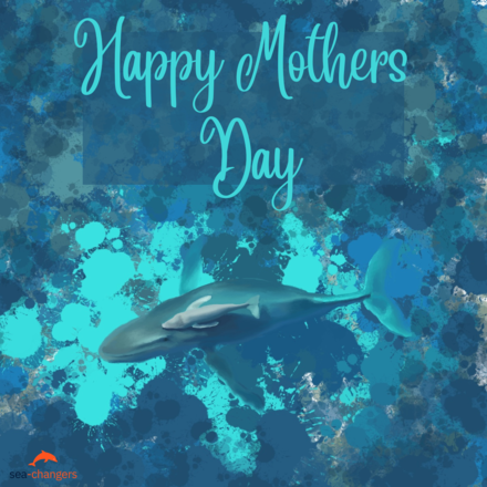 Send a Mother's Day E-Card eCards