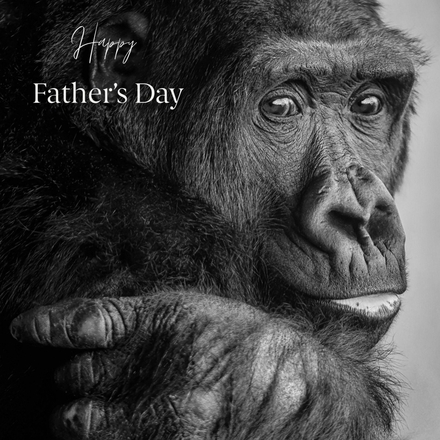 Send a Father's Day E-Card eCards
