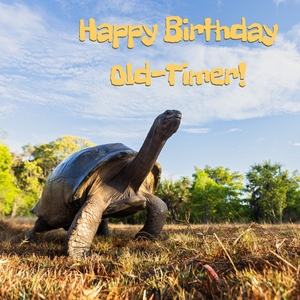 Happy birthday old timer tortoise ecard.