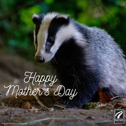 Send a Mother's Day E-Card eCards