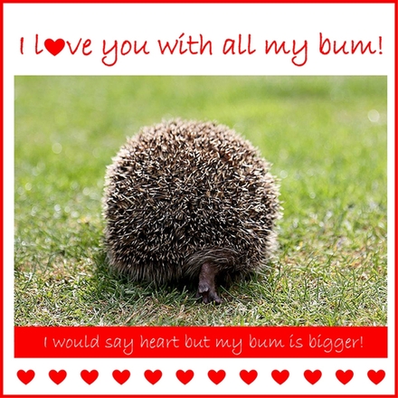 Send a Valentine's Day E-Card eCards