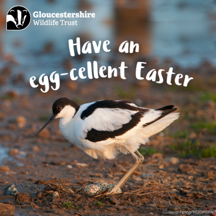 Send Easter eCards this Easter weekend eCards