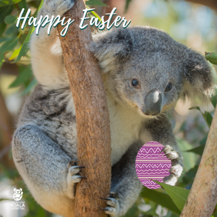 Send Easter E-Cards eCards