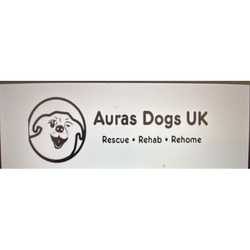Auras Dogs UK eCards