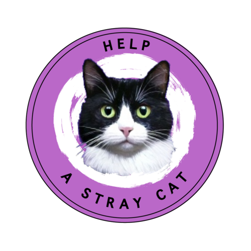 Help a Stray Cat eCards