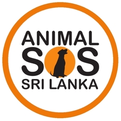 Animal SOS Sri Lanka eCards