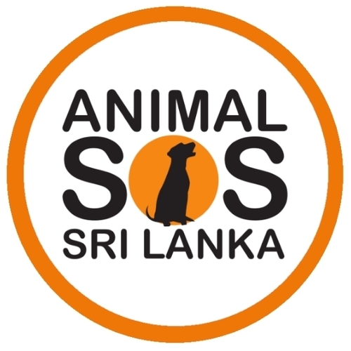 Animal SOS Sri Lanka eCards