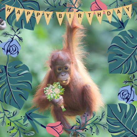Send a Birthday eCard eCards