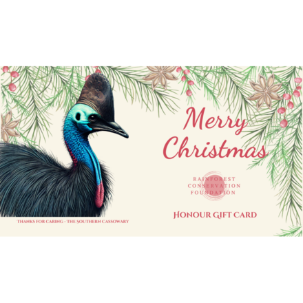 Christmas - The Southern Cassowary eCards