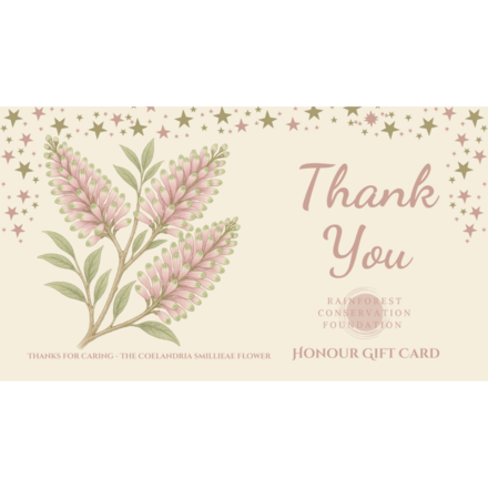Thank you - The Coelandria Simillieae Flower eCards