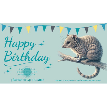 Birthday eCards