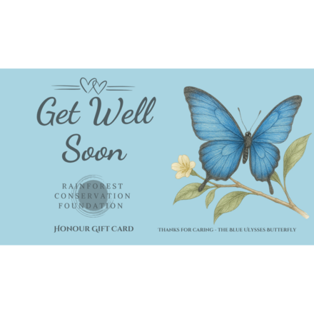 Get Well - The Blue Ulysses Butterfly eCards