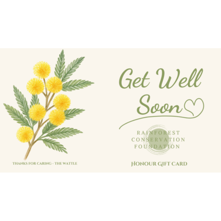 Get Well - The Wattle eCards