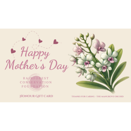 Mother's Day - The Mangrove Orchid eCards