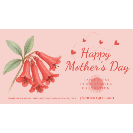 Mother's Day - The Native Rhododendron Flower eCards