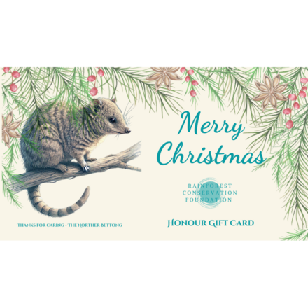 Christmas eCards