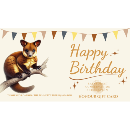 Birthday - The Bennet's Tree Kangeroo eCards