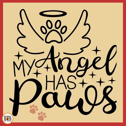 In Loving Memory of a Beloved Pet  eCards