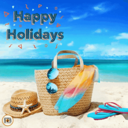 Happy Holiday  eCards