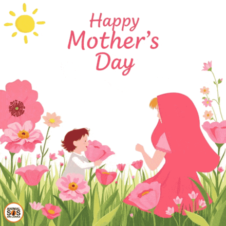 Mother’s Day  eCards