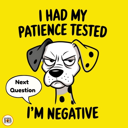 Funny E-Cards eCards