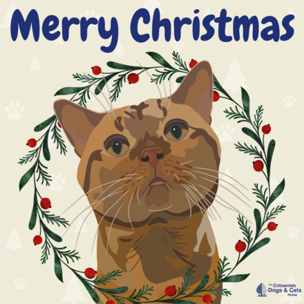 Send Christmas E-Cards eCards