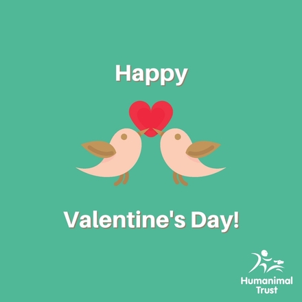 Send a Valentine's Day e-card eCards