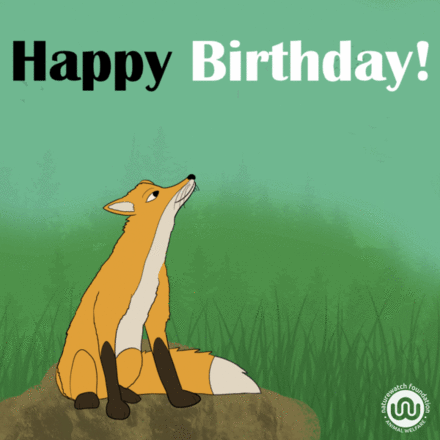 Send a Birthday E-Card eCards