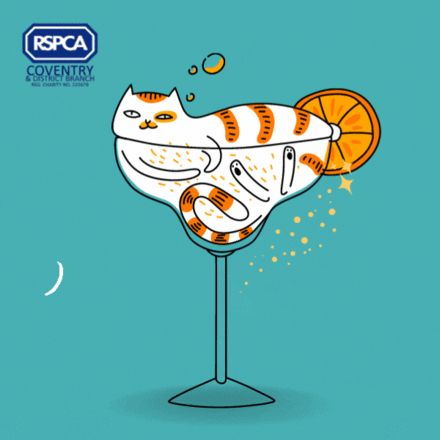 Send a Birthday E-Card eCards