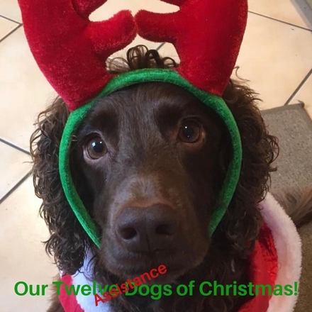 Send Christmas E-Cards! eCards