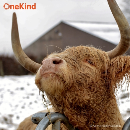 Send a blank card for any occasion. eCards