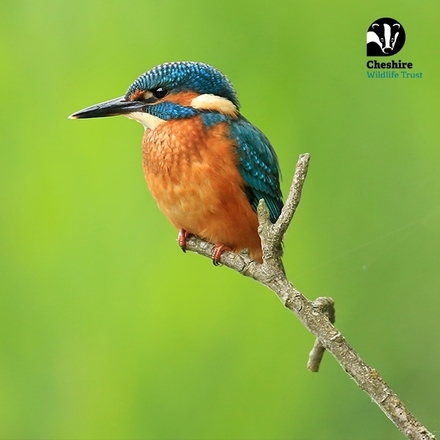 Send a Birthday E-Card eCards