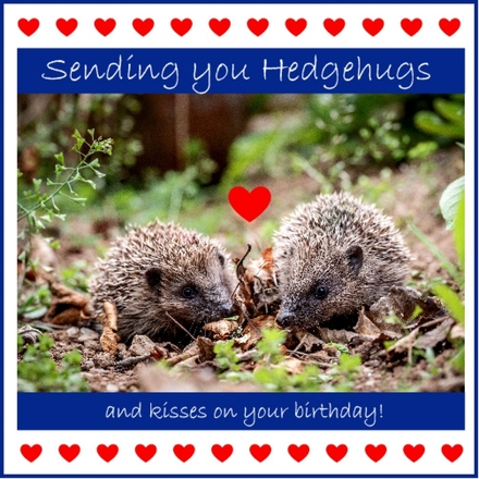 Send a Birthday E-Card eCards