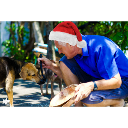 Send Christmas E-Cards eCards