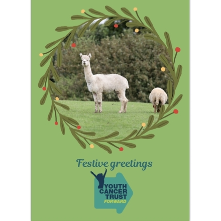 Festive Greetings  eCards