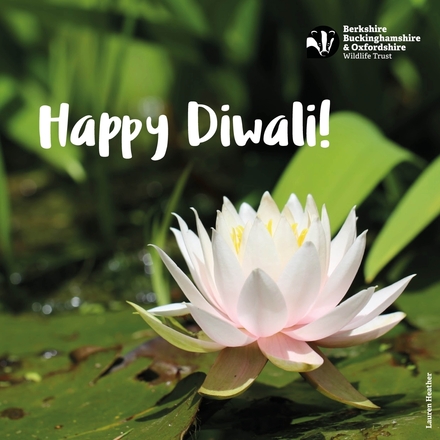 Send a Diwali e-card eCards