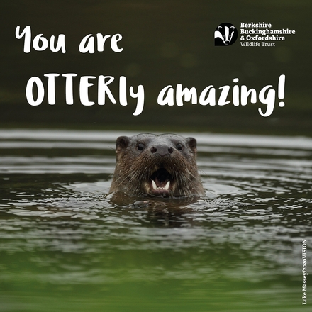 Send a funny e-card eCards