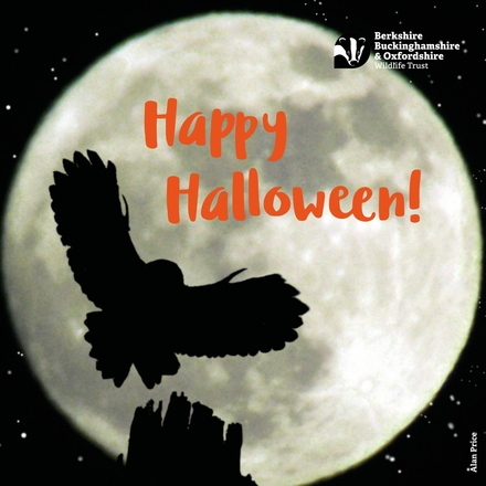 Send a Halloween e-card eCards
