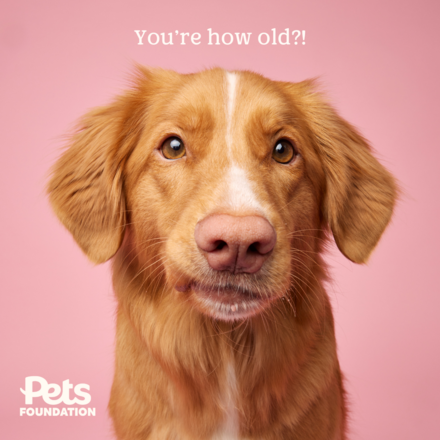 Send a Birthday E-Card eCards