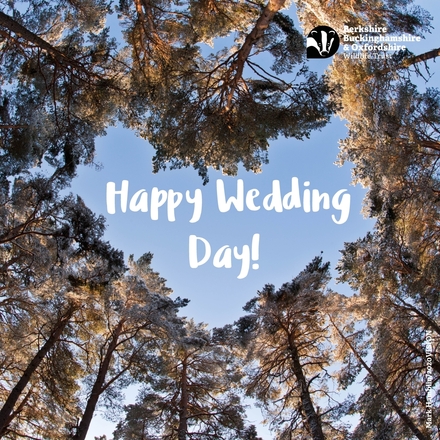 Send a Wedding Day e-card eCards
