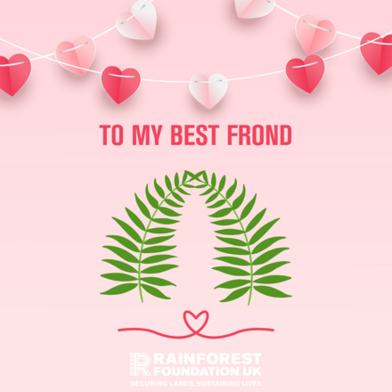 Send love to your family and friends... and the rainforest! eCards