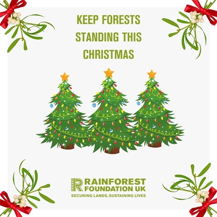 Send Christmas good will to your loved ones and a great cause! eCards