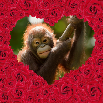 Send your Valentine an eCard eCards