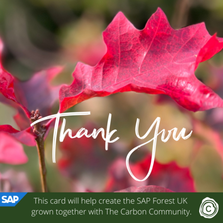 Send Thank You eCards supporting SAP Forest UK in partnership with The Carbon Community eCards