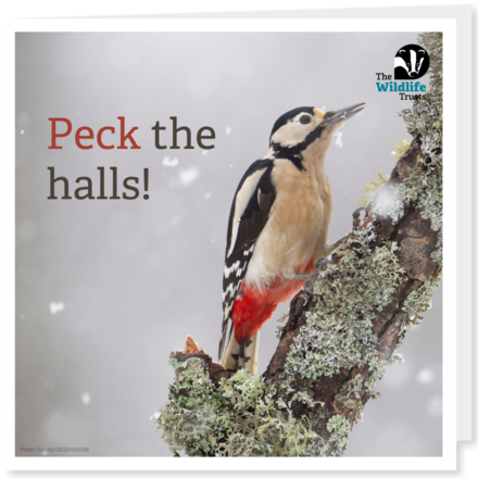 Send Corporate Christmas E-Cards eCards