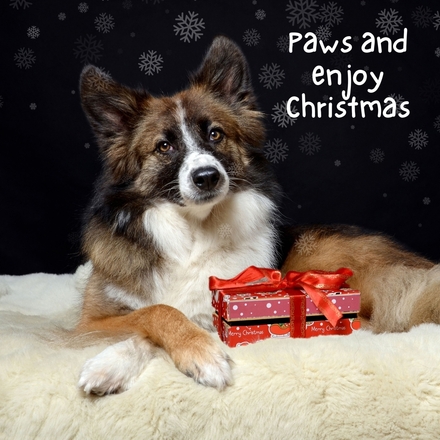 Christmas Card eCards