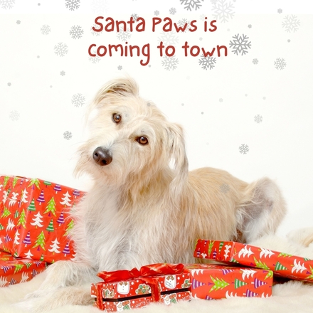 Christmas Card eCards