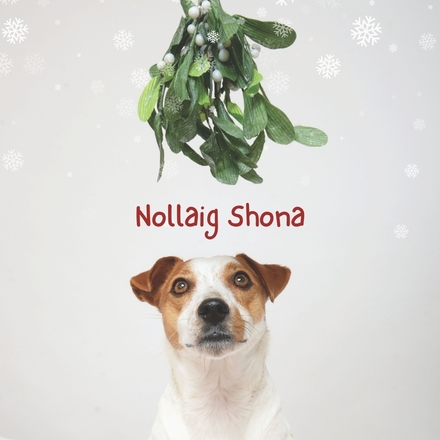 Christmas Card eCards