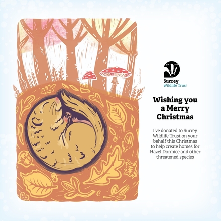 2025 Christmas Card Appeal eCards